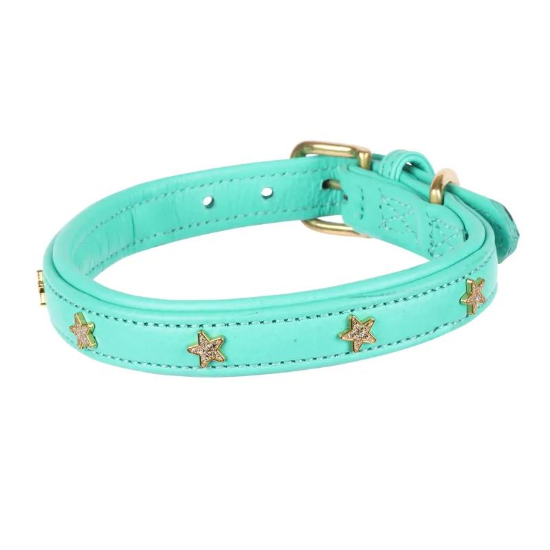 Shires Digby and Fox Star Dog Collar - Teal